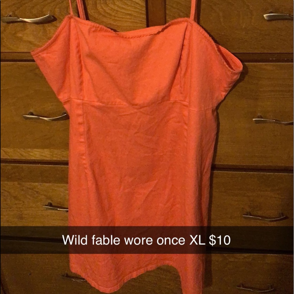 Wild fable dress
